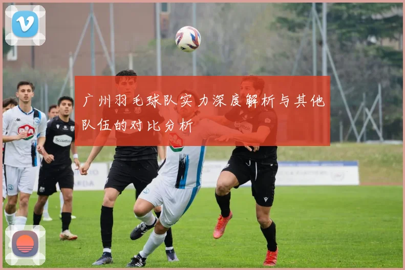 广州羽毛球队实力深度解析与其他队伍的对比分析